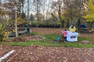 Herbstputz 12.11.2021